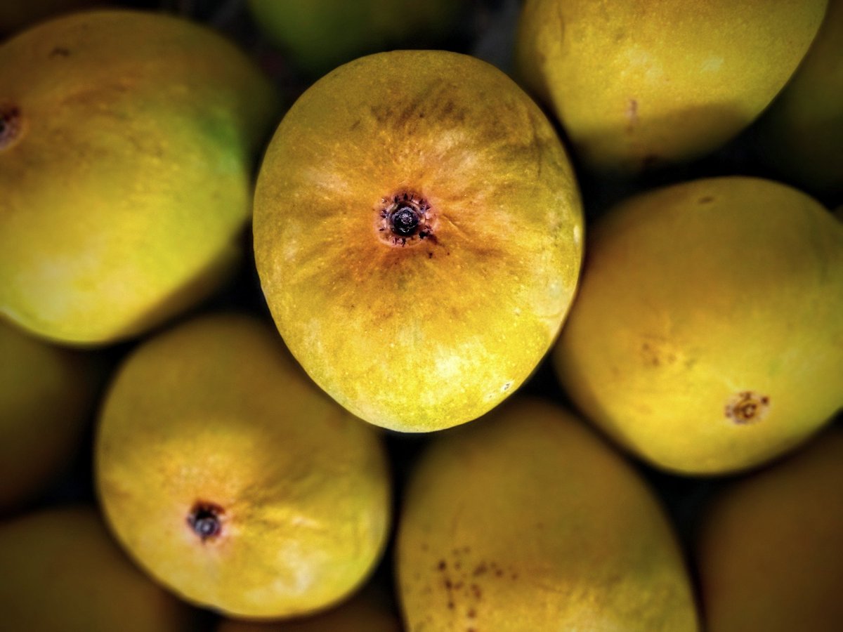 kartikgada_'s tweet image. Alphonso - 👑 of Mangoes 😋🥭🥭🥭 
Shot on Nokia 2.3 in Bokeh mode
#ShotOnNokia #Nokia2dot3 #NokiaMobile #LoveNokia
@NokiamobileIN @NokiaMobile