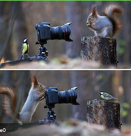 UmUt (@umutbelli) on Twitter photo 