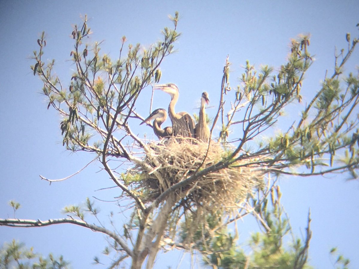 Adam Sendroff tweet media