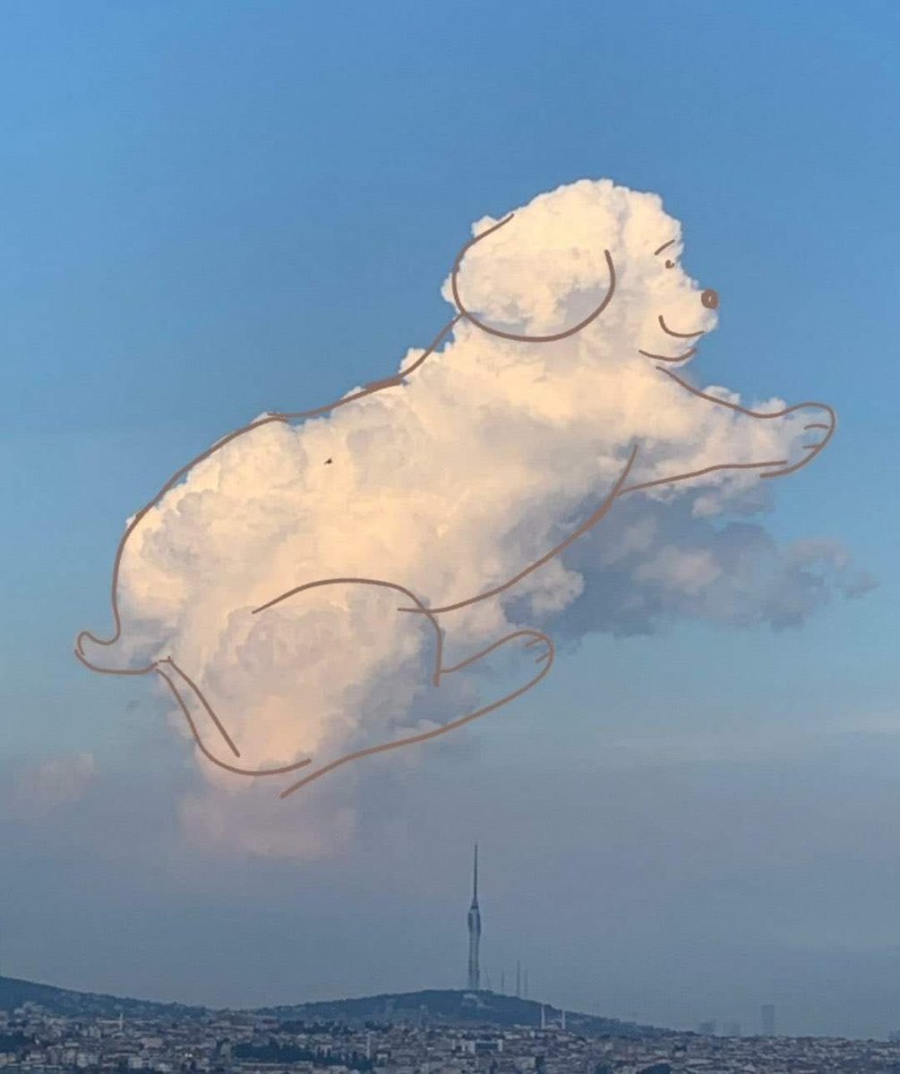 psilocybeart's tweet photo. İstanbul semalarında tek başına gezen bulut köpek https://t.co/WbzFNEIUhC
