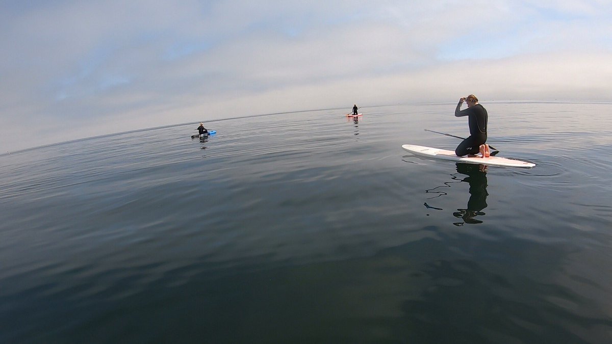 NorthsideSurf tweet media