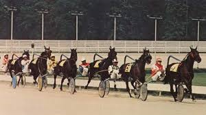 Joe FitzGerald tweet media