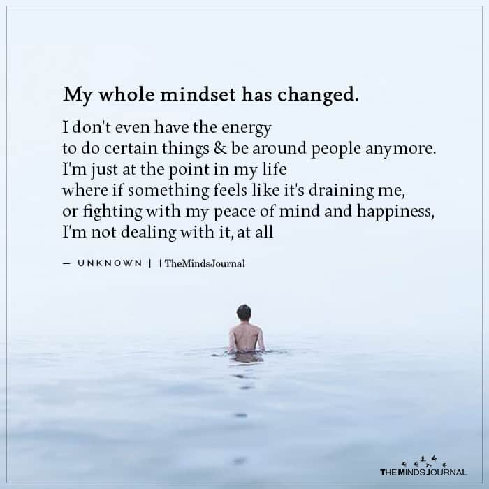 The Subtle Art Of Taming Your Mindset 2 mindset