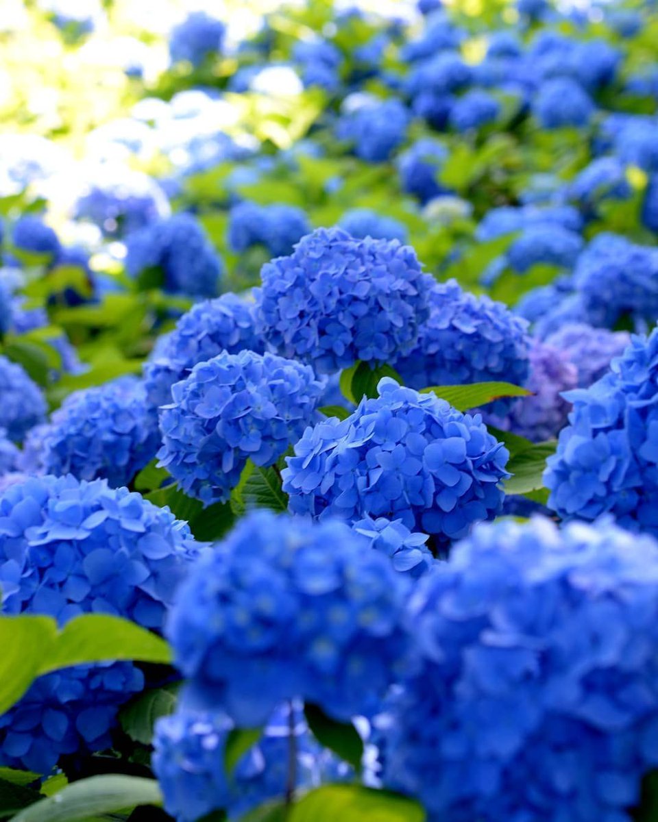 ^livewireLois tweet media