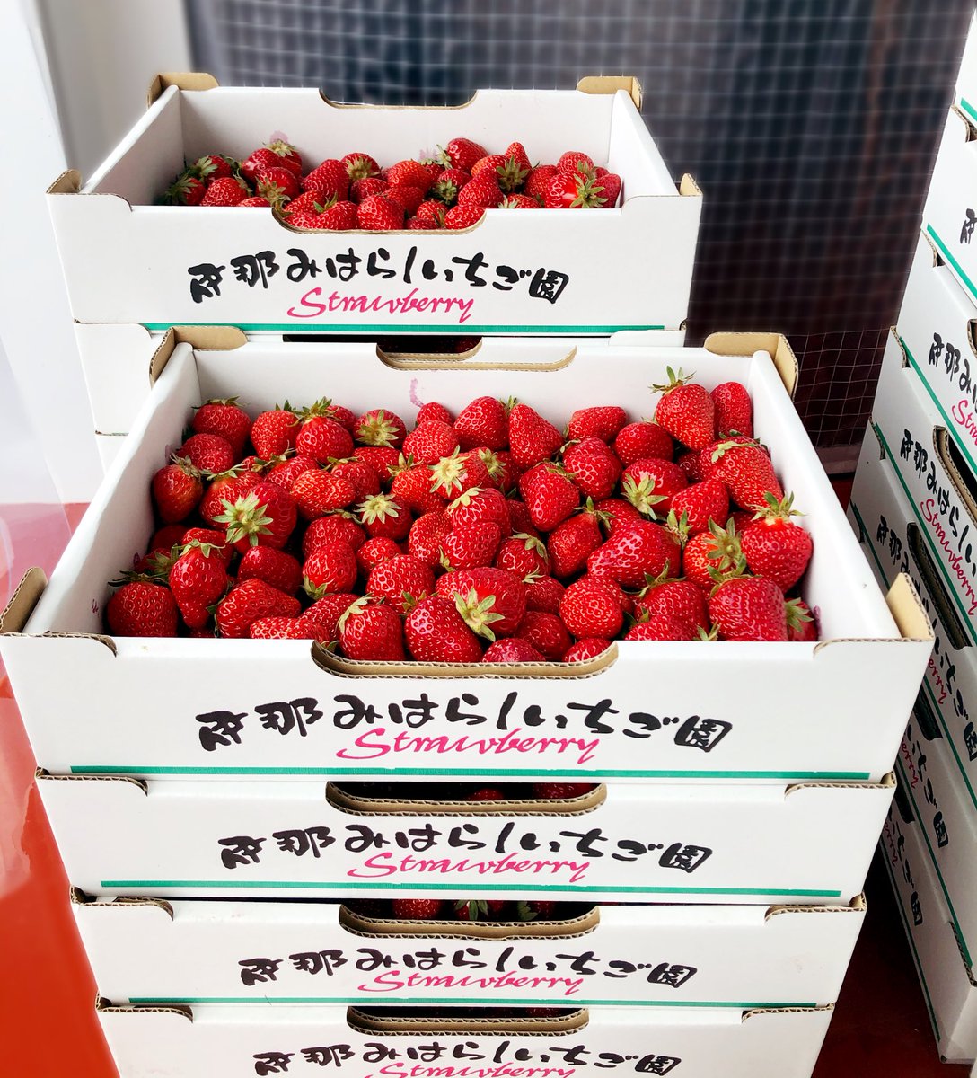 酒と食のセレクトショップ上藏 じょうくら Jokuranagano Twitter 酒と食のセレクトショップ上藏 じょうくら Jokuranagano Twitter