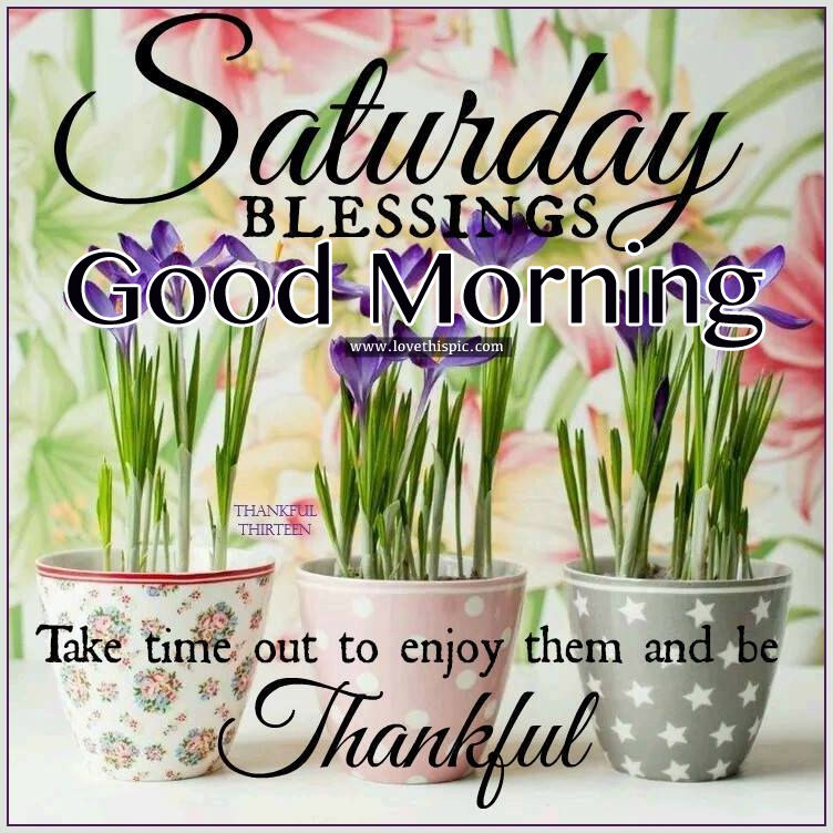 GVINGLIFE's tweet photo. GOOD SATURDAY MORNING .. Let those who love the Lord hate evil, for he guards the lives of his faithful ones and delivers them from the hand of the wicked. - Psalm 97:10
#EnjoyYourSaturday #PraiseGod #ForHeIsWorthy https://t.co/TC3SEX1yf0