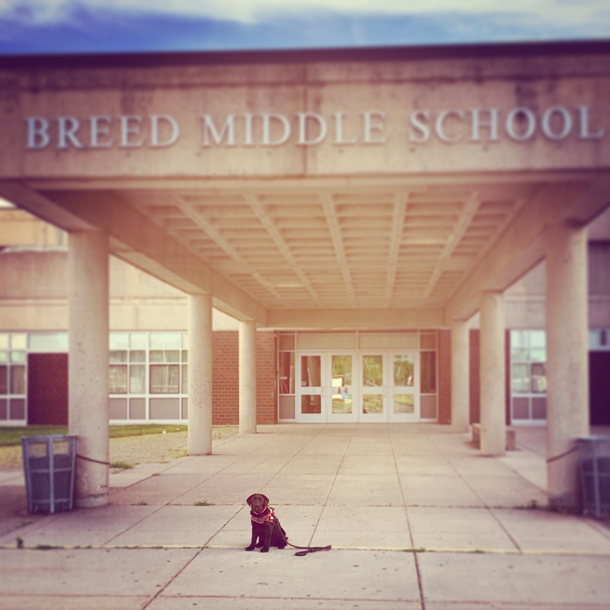 Julielouf's tweet photo. Welcome Stella Joy! @BreedMiddle School’s newest addition. She cannot wait to meet the students and faculty ❤️ @DAJonBlodgett @PatrickTutwiler https://t.co/fHrvzhSVtA