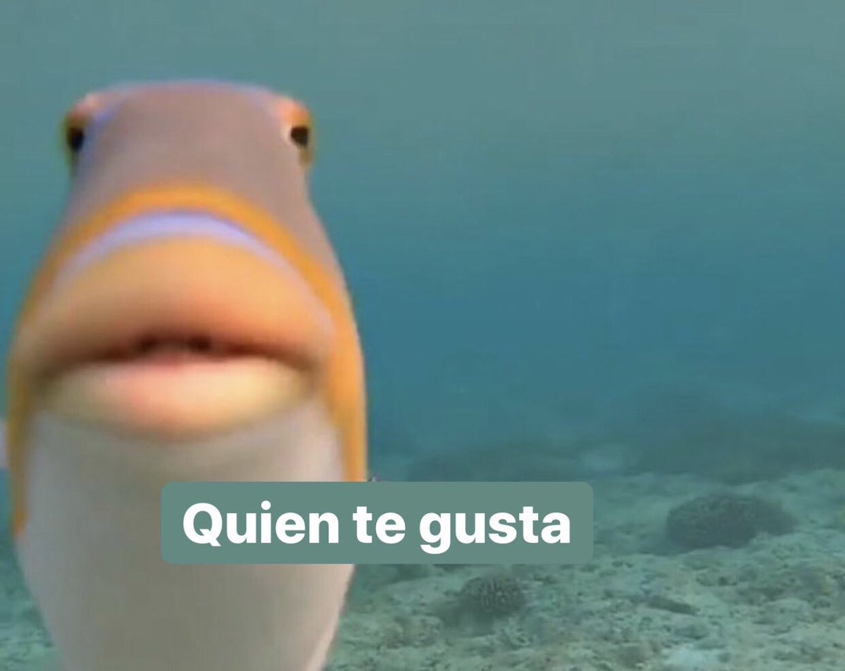 *De pequeño durmiendo con algún amigo*

El que no tiene sueño: