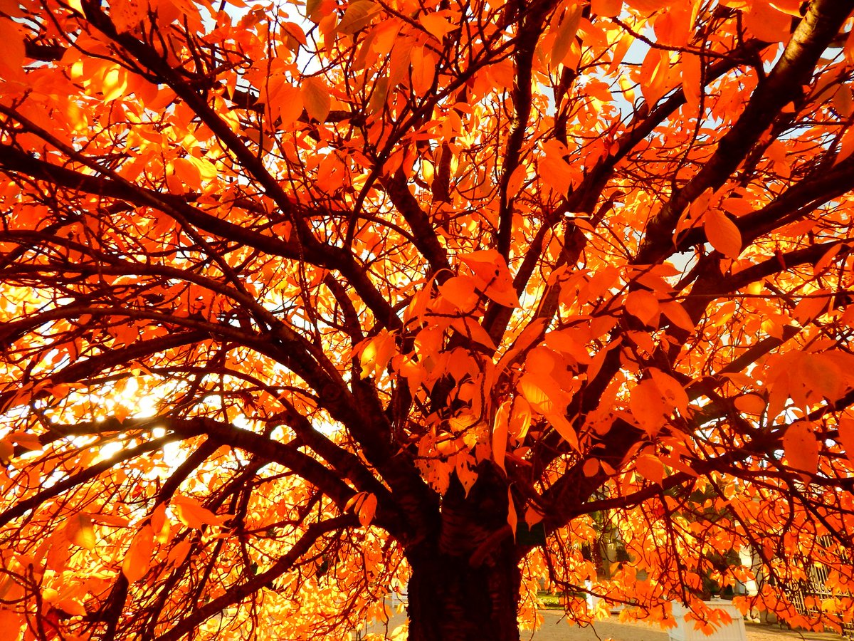 Postcard for  @DropandLob Roland Garros, France ;)