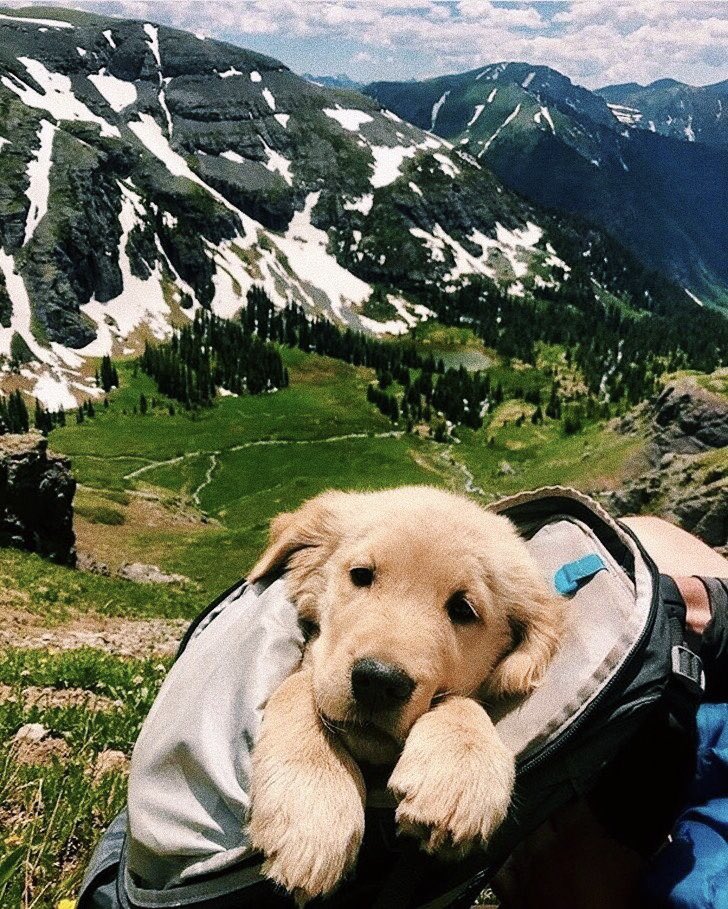 ramé (@escritosrame) on Twitter photo 