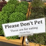 Photo by Quantum Microgreens (@MicrogreenFarm)