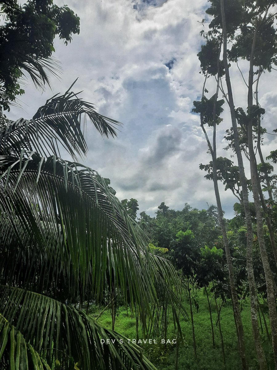 devstravelbag's tweet image. #ttot #rtw #travel #LP #TravelMassive #TBEX #TRLT #TBU #PTBA #Travel #nature #wanderer     
#wanderlust #India #indiaTravel #TravelTwitter #Picoftheday #travelwriter #incredibleindia #indiatravelblogger #travelphotography #traveller #indiapictures #Traveller