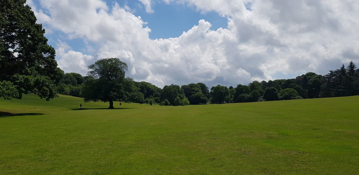 Hurrah the sun came out a bit on today's dog walk...