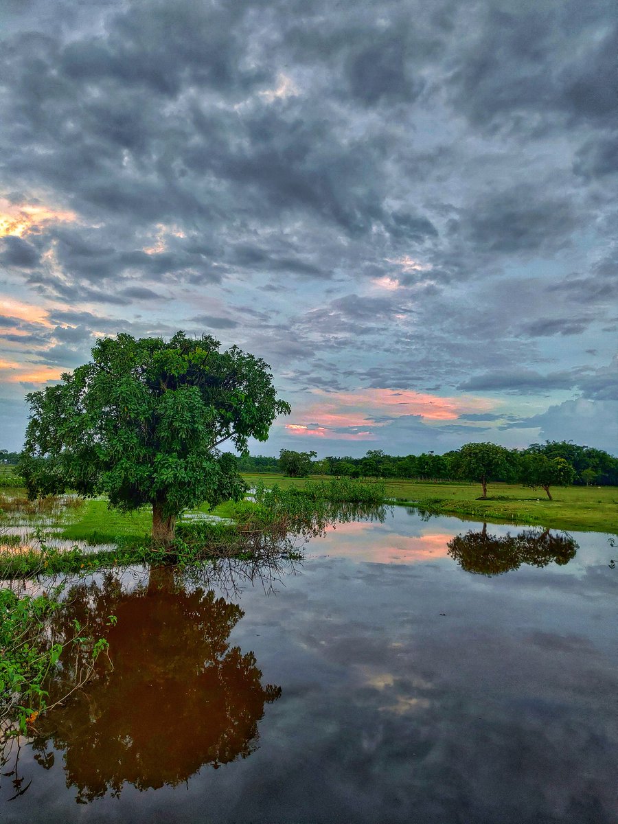 NibedanPathak's tweet photo. Sunset dreams.

#clickedwhilecyclingaround
#AwesomeAssam
#sunset
#sunsetinmyhometown 
#asus5z https://t.co/pXCe7MQvXZ