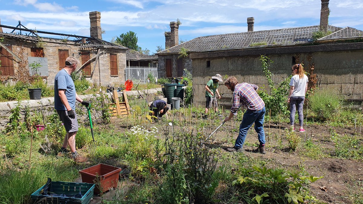 InfirmaryGarden's tweet photo. Thanks to everyone for trojan work today, what a day for it! https://t.co/uspIWYAPAk