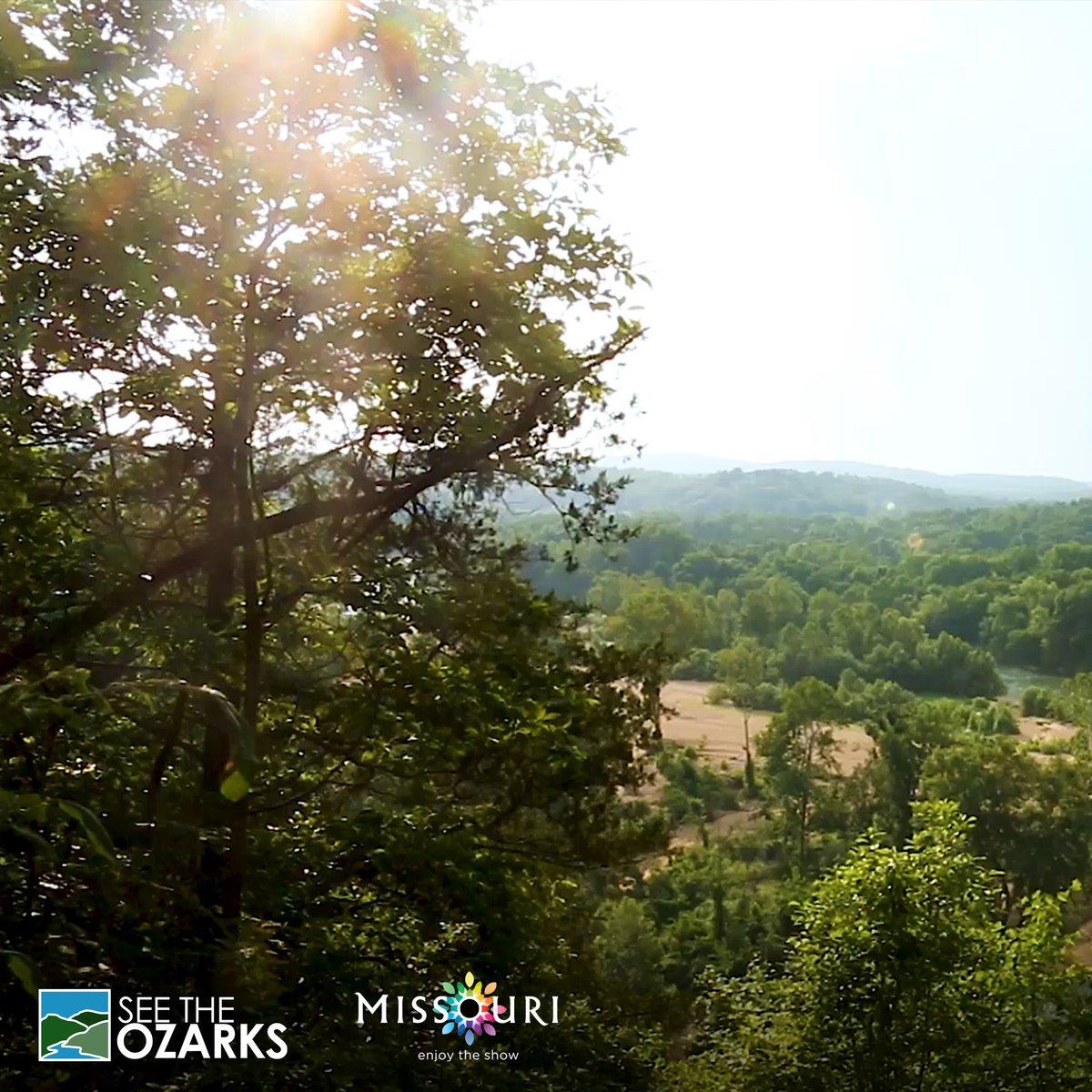 See The Ozarks tweet media