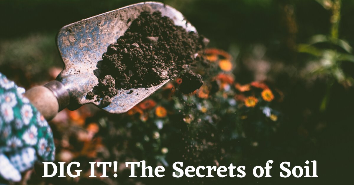 ASA_CSSA_SSSA's tweet photo. Discover the world beneath your feet! The DIY, Dig It! The Secrets of Soil exhibit has downloadable graphic panels & interactive media. Adaptable to various venues, like schools, libraries, & more! Teach the importance of soil for free: https://t.co/xsYvi7aQ2f #DigItDIY #Soil https://t.co/0HQRGI2BC3