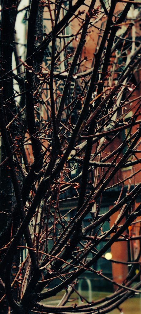 Postcard for  @iRatzzz Boston, USA