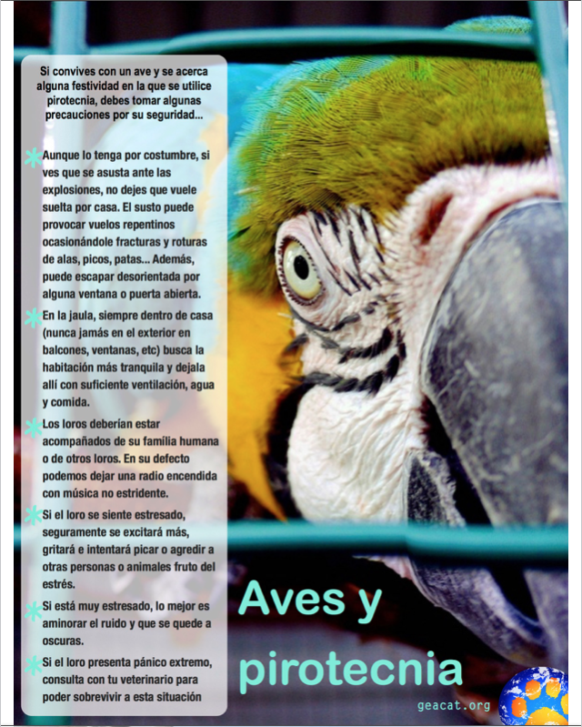geacat's tweet photo. En muchos lugares se celebra con pirotecnia. Si eres de las personas que aún no sabe el daño que ésta causa a otros seres que conviven con nosotros deberías leer esto...

#noalapirotecnia https://t.co/DF4txrP53J