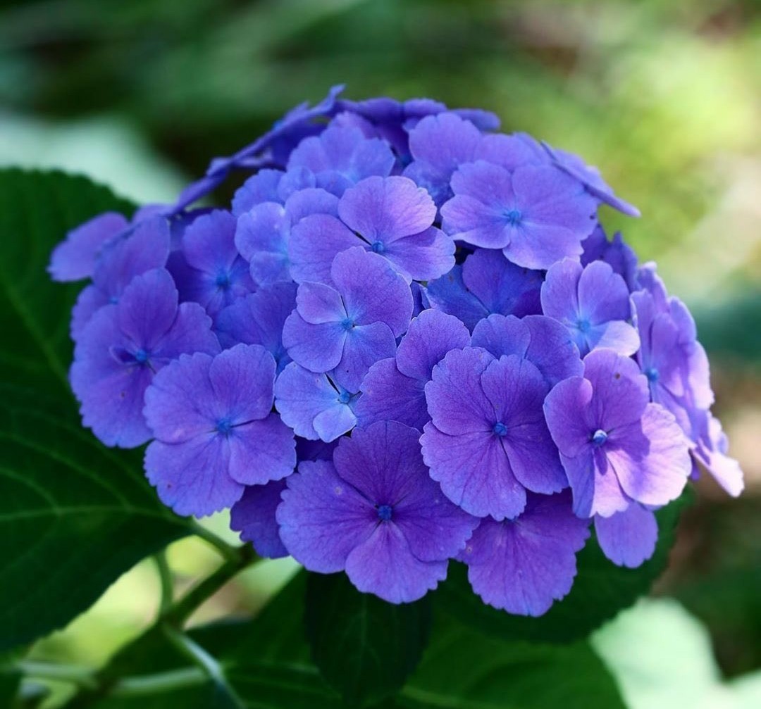 Rekhaa Tiwarii tweet media