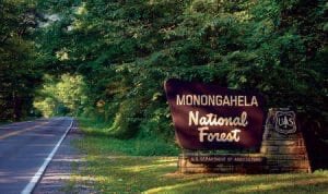 Monongahela National Forest -Established in 1920 (100 years) and is home to one of the most ecological diverse areas in the US. Spruce Knob is located here and is the highest point in WV. Hiking, camping, and more outdoor activities can be found in the Forest