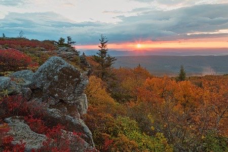 Monongahela National Forest -Established in 1920 (100 years) and is home to one of the most ecological diverse areas in the US. Spruce Knob is located here and is the highest point in WV. Hiking, camping, and more outdoor activities can be found in the Forest