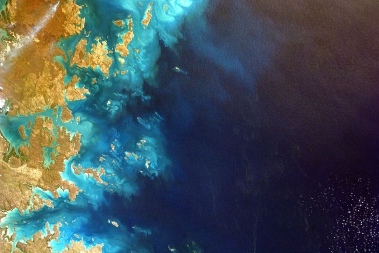 Marine Pollution: Major Causes and Threats

naturetalkies.com/2020/04/08/mar…