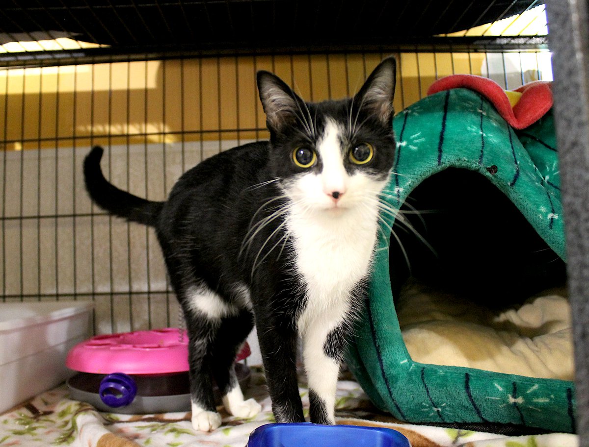 Get your dad the father's day gift he really wants... a kid that doesn't talk back or constantly asks for money 😆We are open until 3pm❤️ Please remember that face masks are required and that we are no longer accepting appointments so just come on in 😄

*Reminder- closed Sunday!