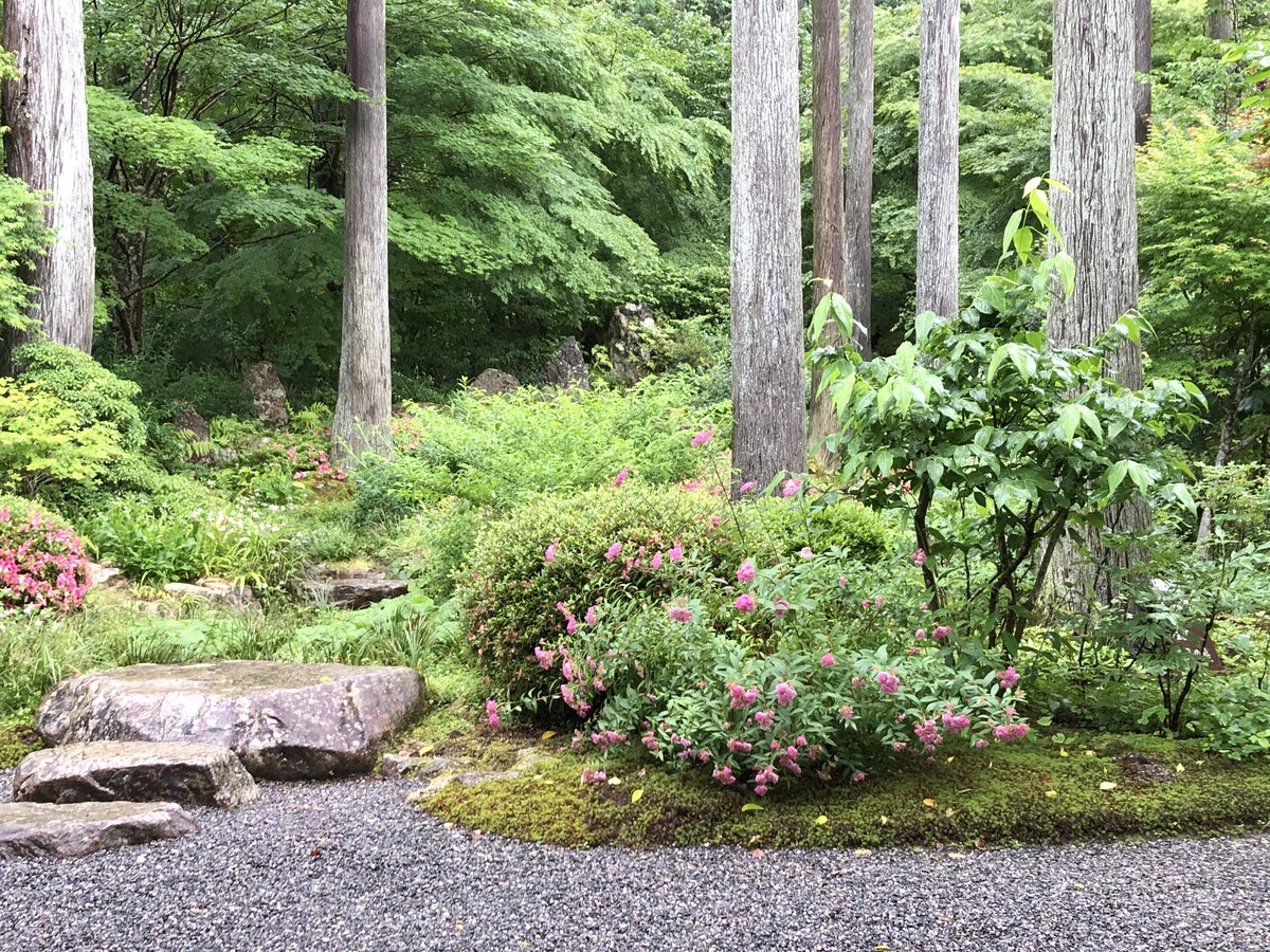 moritotani's tweet image. 7月から役1ヶ月間、週(二泊三日)でホテルアンテルームに滞在してます。僕はロビーや会場内でナイスを撮ってるので、気になった方はお声掛けください。時世を考えると、遠くから見ててもらえると嬉しいです。写真はイメージです
#subjectobject #hotelantroomkyoto