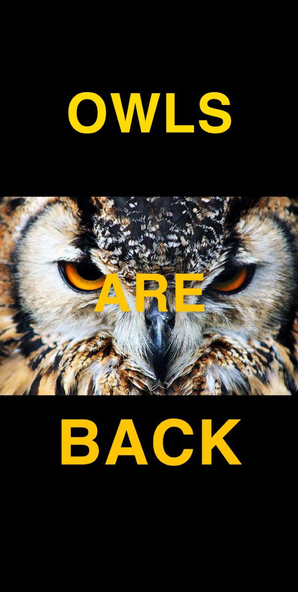 CCOwlsSoftball's tweet photo. Tomorrow 5:00 Brentwood park. BE THERE https://t.co/5no0Gocl4N