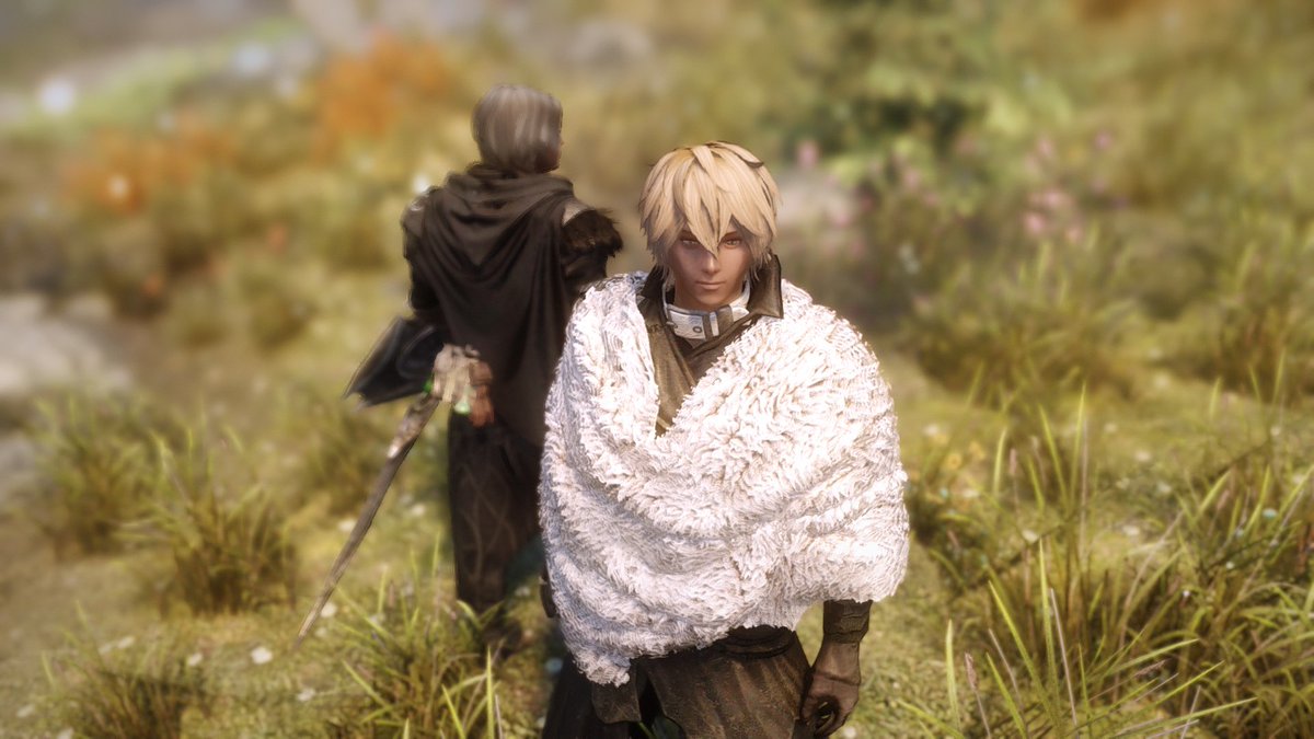 Skyrim Ss Min T ミント Skyrim Ss Min T ミント