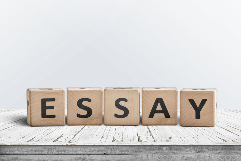 alice_grimson's tweet photo. In case you need an #expertwriter to handle your #essays #essay #assignments #assignment #discussionposts #onlinclass or #onlineexam do not hesitate to contact. Our Dms are open 24/7. #cheapessay #thebestessaywriter https://t.co/jDo3fA2SdS
