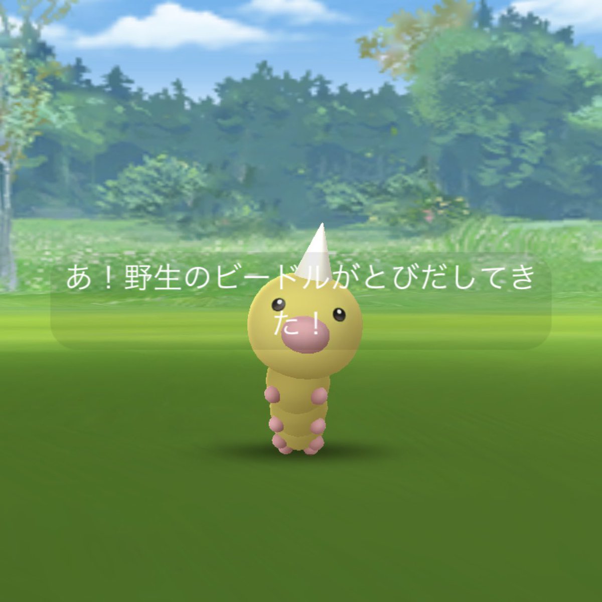 Go03stamen Auf Twitter ビードル コミニティ ディ 色違いビードルは12匹 スピアーも緑 砂3倍は美味しかった ポケモン ポケモンgo Pokemongo ビードル コミニティディ 色違い イロチ Go03stamen Auf Twitter ビードル コミニティ ディ 色違いビードルは12匹 スピアーも緑 砂3倍は美味しかった ポケモン ポケモンgo Pokemongo ビードル コミニティディ 色違い イロチ