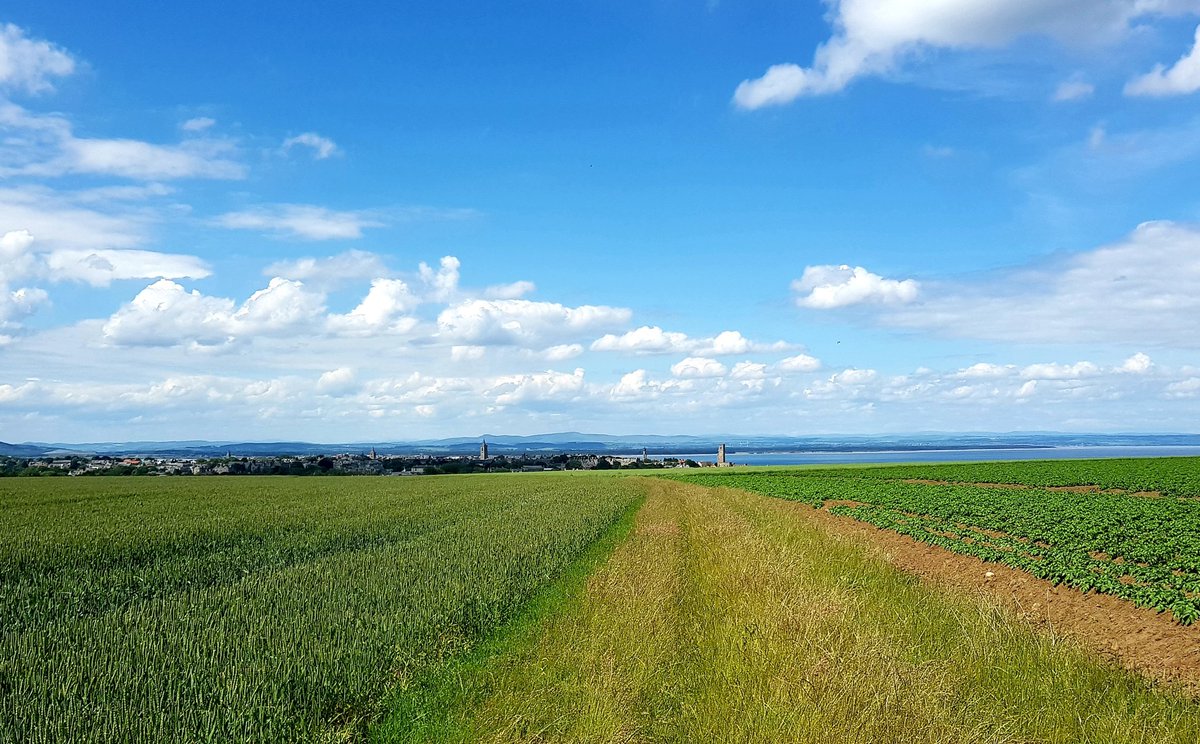 KelpieSci's tweet photo. Strolling the fields, thinking about vaccines, as you do...

#standrews #Scotland #Biotechnology #vaccine https://t.co/jdig2qsW2Z