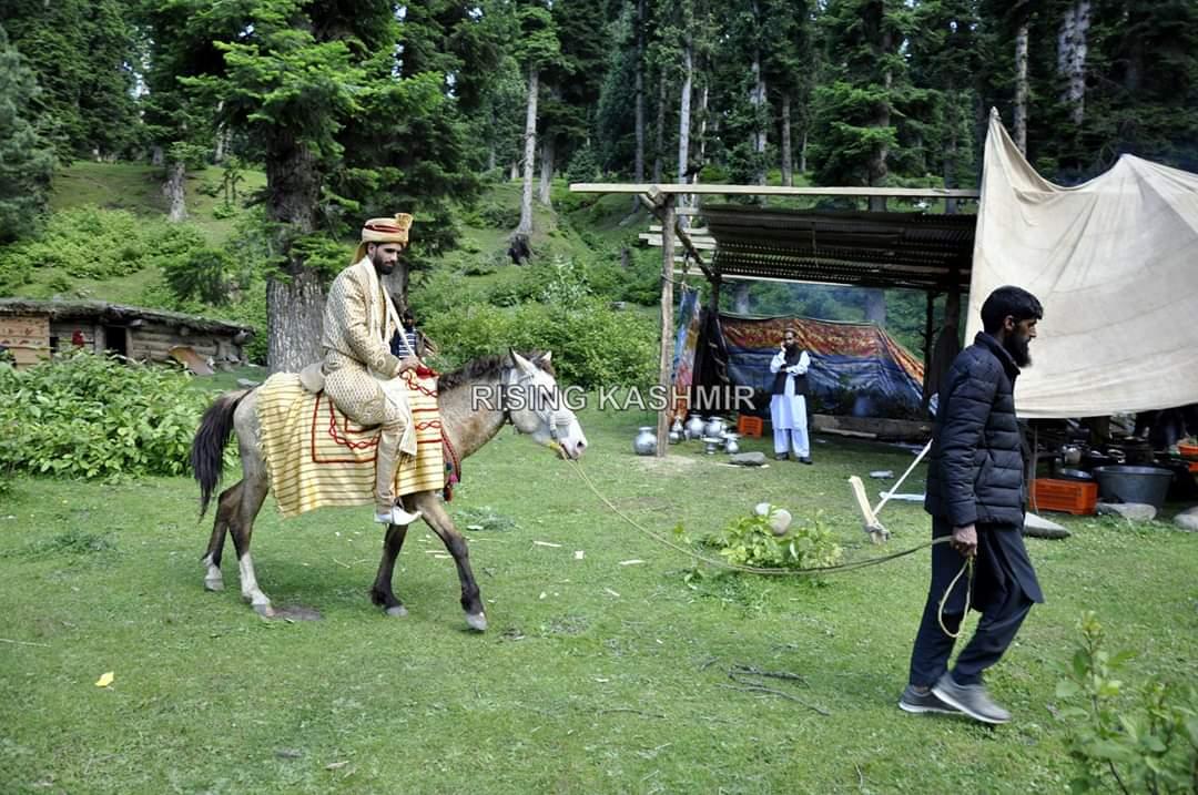 RisingKashmir's tweet photo. A #Gujjar (nomad) marriage ceremony with the groom on horse and bride in the #palanquin in Pulwama district, on 20 June 2020. Despite exponential increase in automobiles, some #nomadic tribes continue to use horses and palanquins in #marriages. Nisar Ul Haq Allaie/ Rising Kashmir https://t.co/KHjMoPRl60