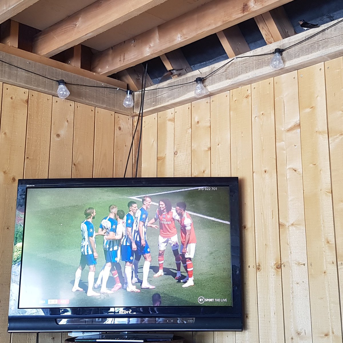 timhaff's tweet photo. @FatboySlim top RH corner of photo... There's a House Martin watching the Seagulls game with us! https://t.co/HU5vCaLrA4
