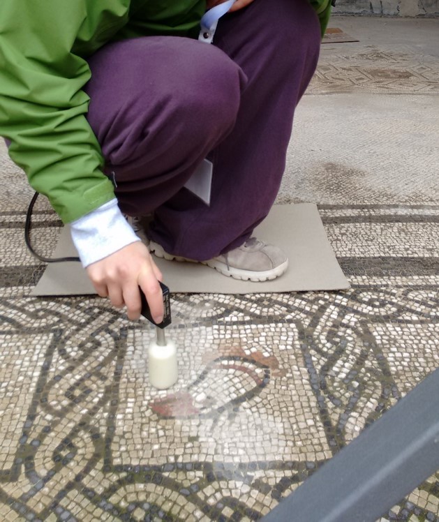 In order to study these mosaics, portable analytical equipment has been used, so as to avoid sampling. Among other techniques, Raman spectroscopy (for the molecular composition) and X-ray fluorescence (for elemental analysis) have been employed.