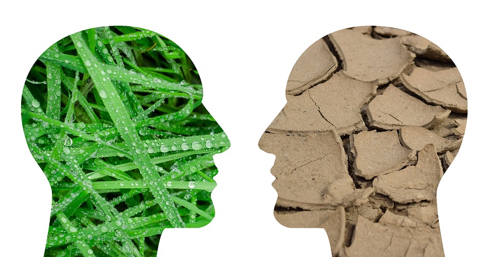 Impact Of Climate Change: Possible Ways The Planet Might Suffer

naturetalkies.com/2019/12/14/imp…