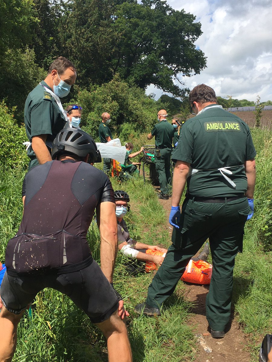 linda cantelo tweet media