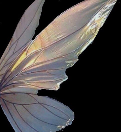 rell_49's tweet image. __*😌🖤🖤🖤