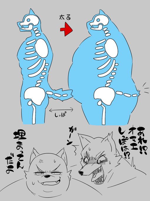 しっぽは表面から生えてるわけじゃないから太ったら埋まってしまうんじゃないかと考えていたりした 