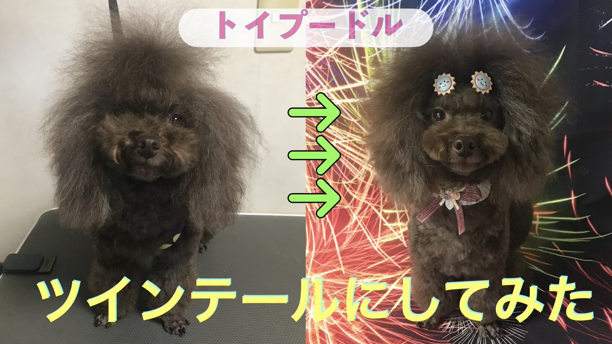 うた子 Uta Utachan Twitter うた子 Uta Utachan Twitter
