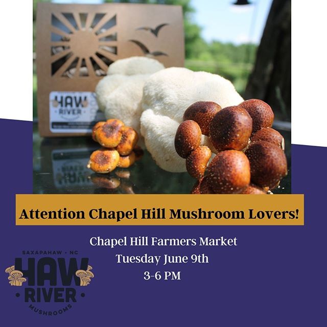 Chapel Hill!!!! We are so excited to bring our scrumptious mushrooms to your favorite weekday market. We have so many varieties popping so get your preorders in NOW (until 10 PM) for market tomorrow- June 9th. We will have limited fresh mushrooms and jerky for sale at the market