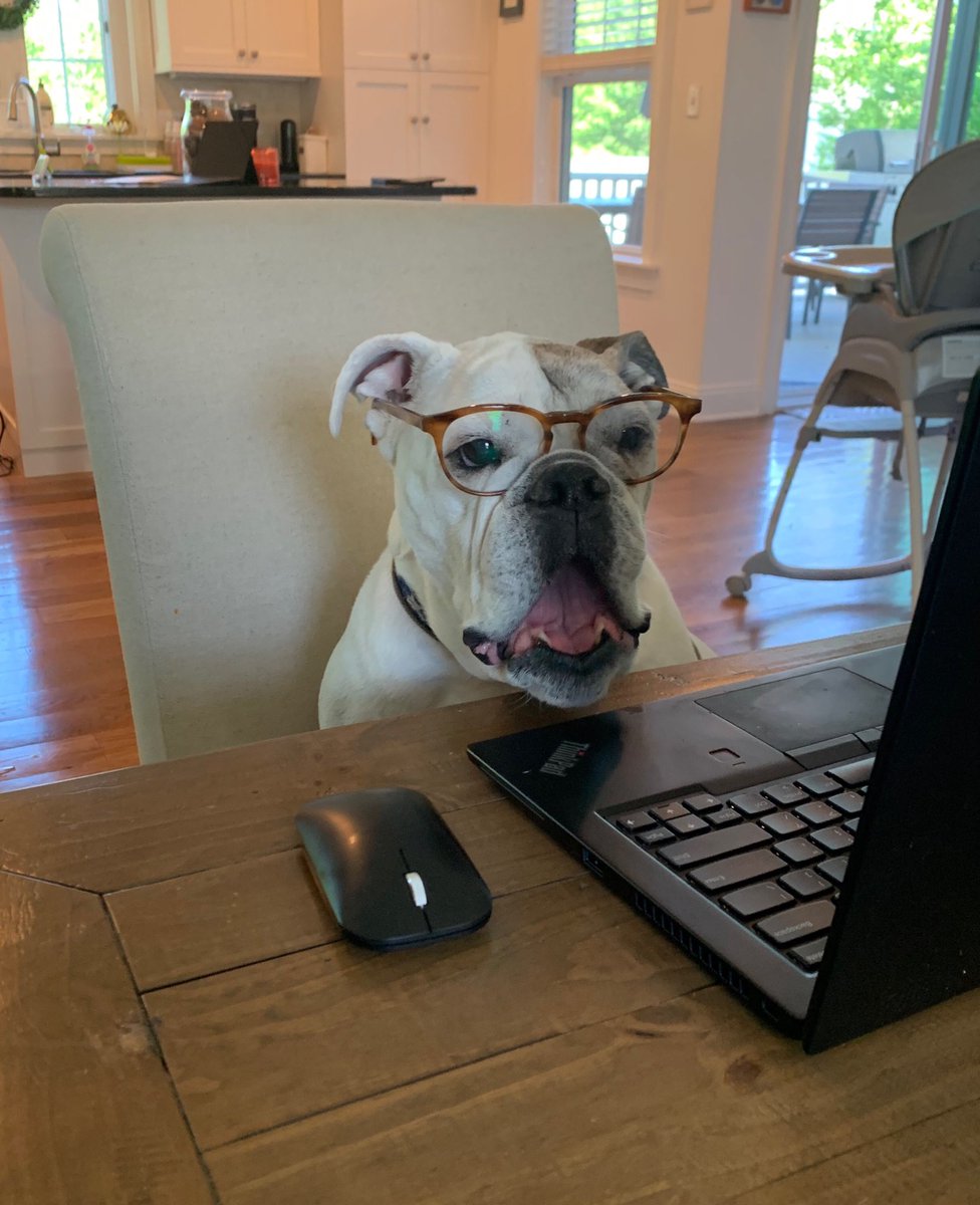 Tim Tobin tweet media