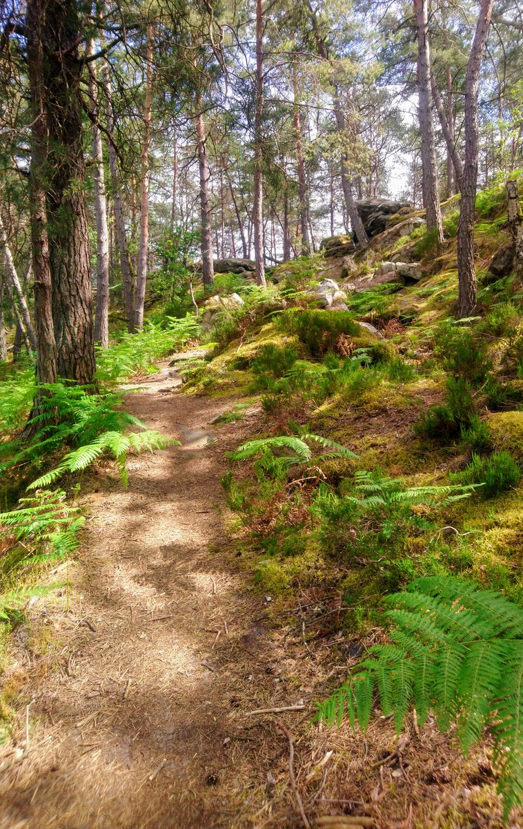 #mylifeinpictures, day 1/7, no people, no descriptions. Challenge someone every day. I was challenged by 
<a href="/aanazgo/">Angie Añazgo</a> I challenge <a href="/AurelienDelort/">Aurélien Delort</a>