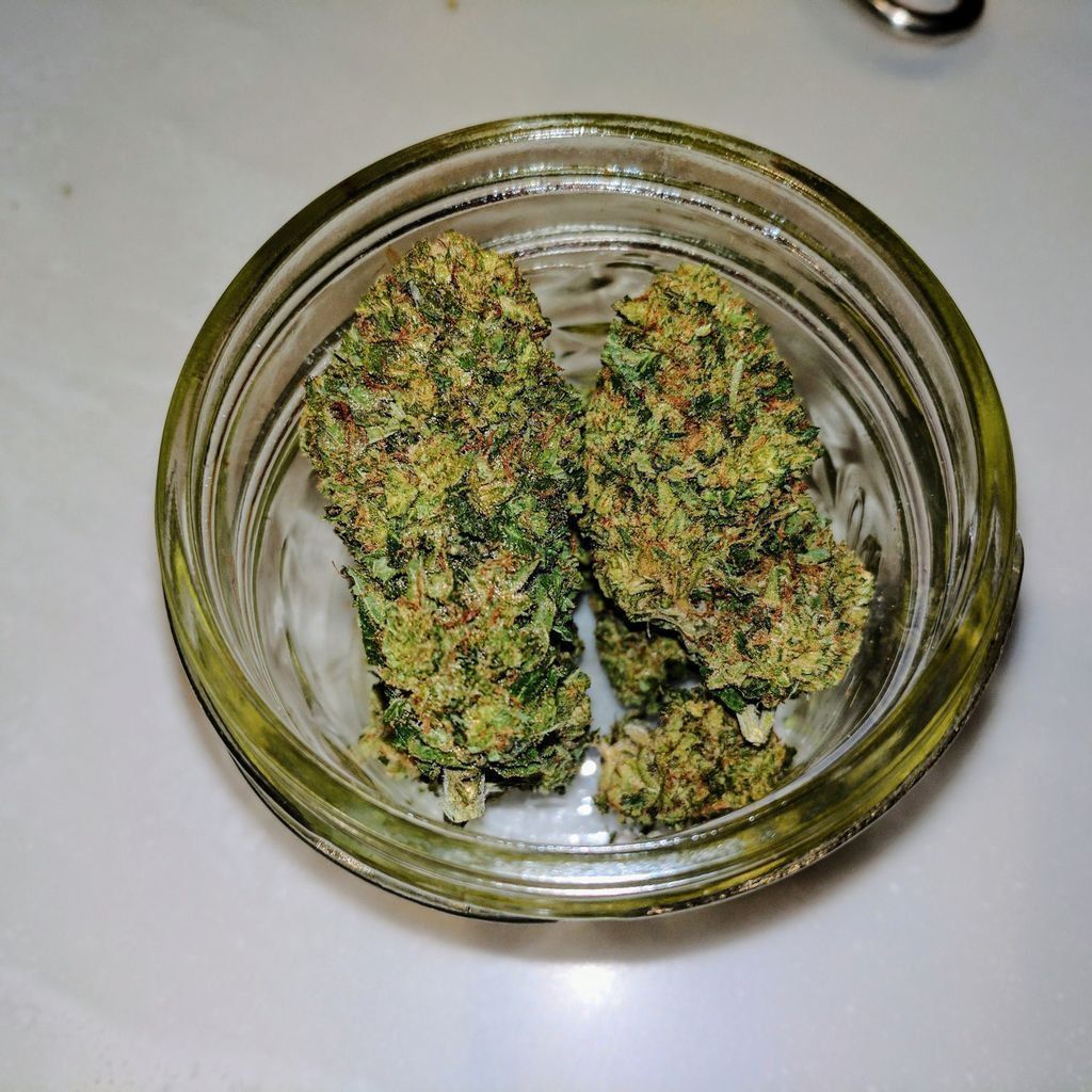 420's tweet photo. 💛🍋Golden Lemons sativa https://t.co/4MHqRECtDn