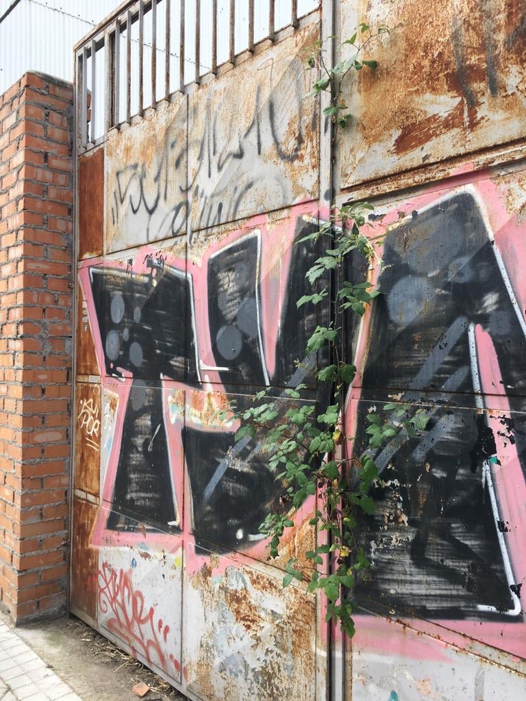 Irene 🚲 on Twitter "¡Artista del escape! 🌱 😉…