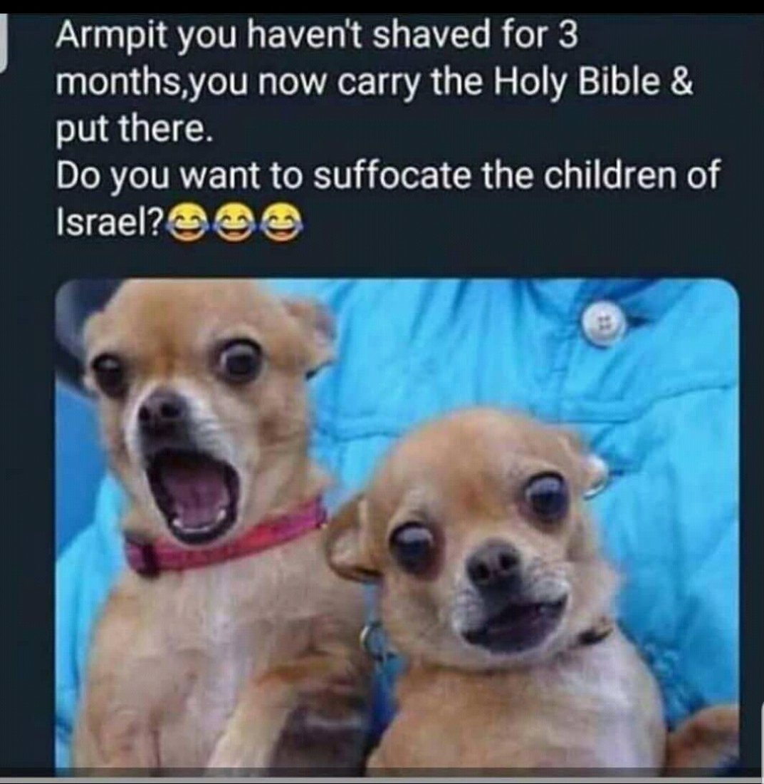 babav0zz's tweet photo. Are You Mad? Are You Normal? 😂 https://t.co/MBAlndKCCt