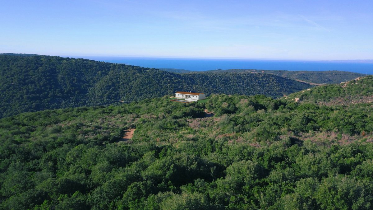 LiveInSardinia's tweet photo. A New Villa Project To Start Home Working From Beautiful Sardinia?
https://t.co/3JssT8KQ5y
#homeworking #beautifulhome #aplaceinthesun #realestateinvesting #realestateagent #relocation #Mediterranean #remotework #architecture #sardinia #liveinsardinia #sardaigne #maisonavendre https://t.co/cTlThytGMi
