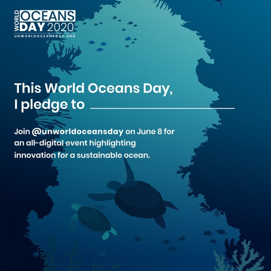Today, on #UNWorldOceansDay join us as we celebrate all the ocean gives us everyday &amp; collectively pledge to protect the ocean &amp; use its resources sustainably.

Share with us what you pledge to do to protect our ocean by clicking the link below
unworldoceansday.org/pledges